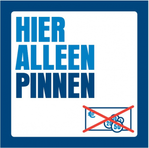 Pinnen
